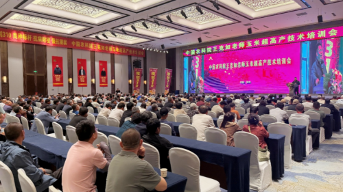 科技賦能促增產 良種護航助豐收